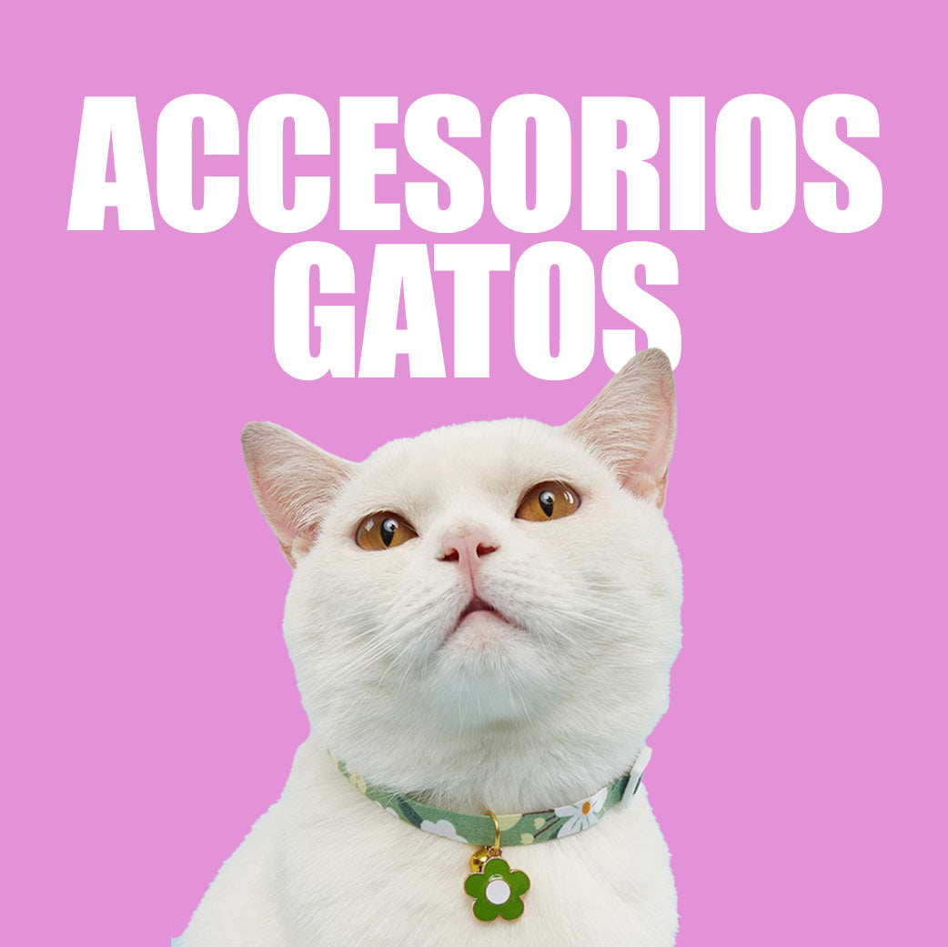 Accesorios Para Gatos