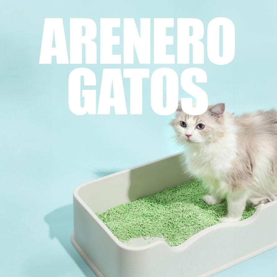 Areneros Para Gatos