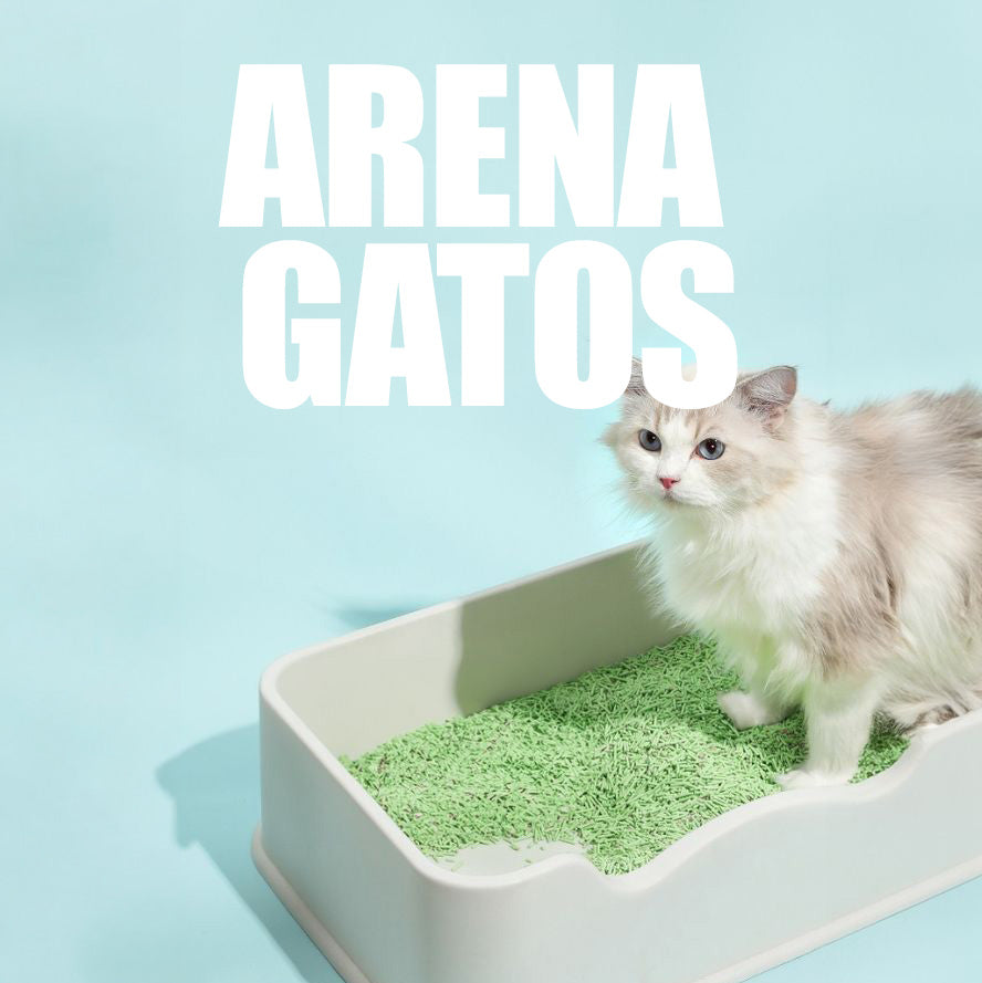 Arena Para Gatos