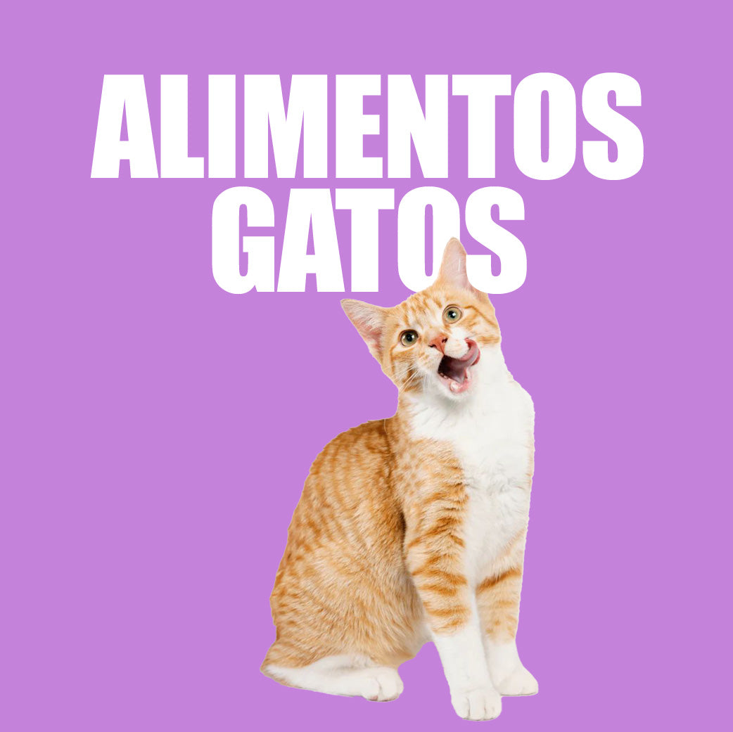 Alimentos Para Gatos