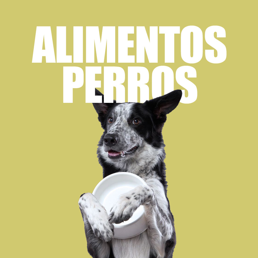Alimentos Para Perros