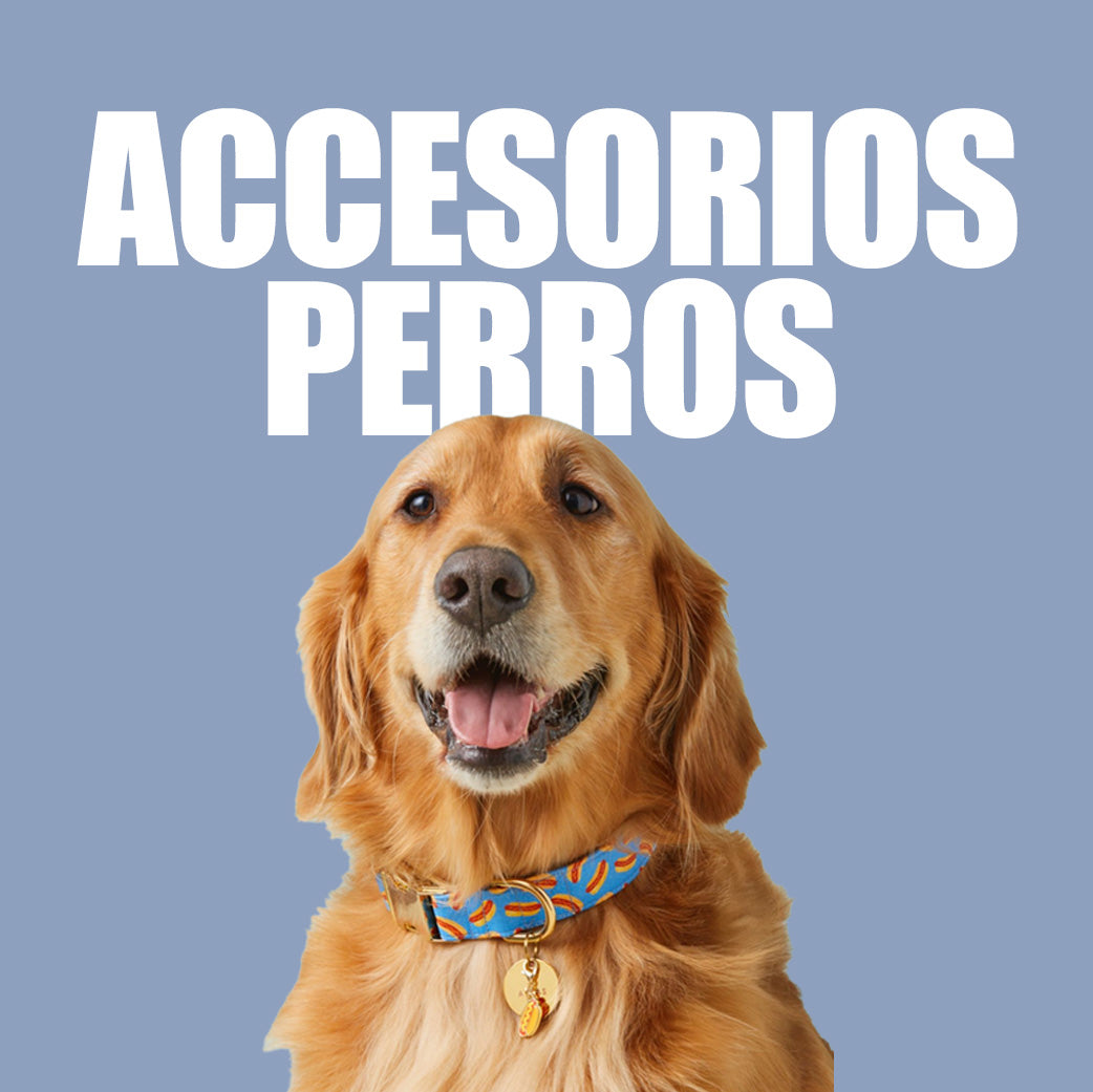 Accesorios Para Perros