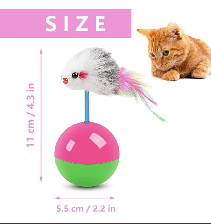 Boxeadora para gatos