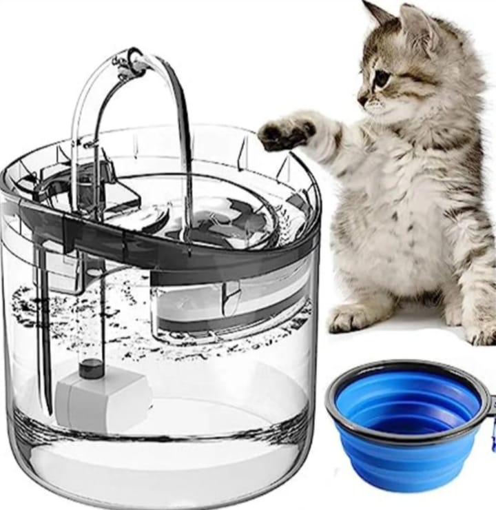 Fuente transparente