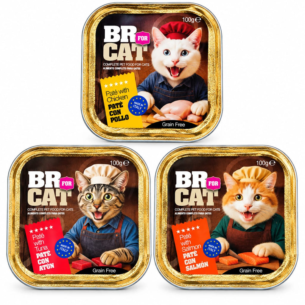 BR FOR CAT Paté 100Gr
