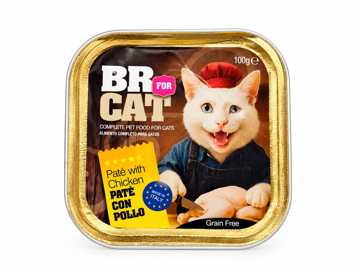 BR FOR CAT Paté 100Gr