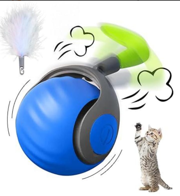 Pelota eléctrica