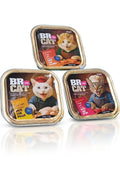 BR FOR CAT paté 100 gramos