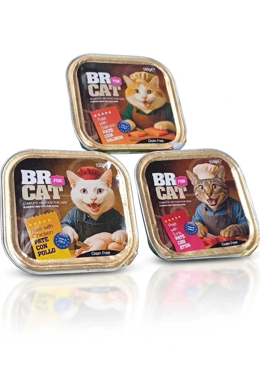 BR FOR CAT paté 100 gramos