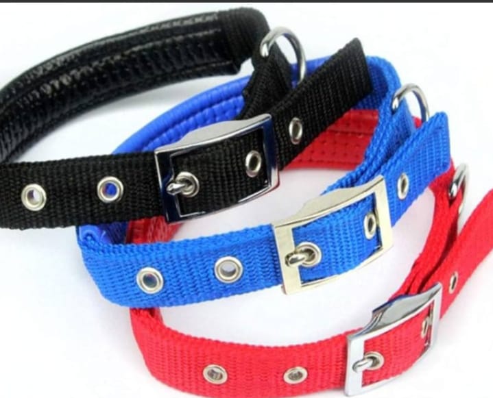 Collar cuero pequeño